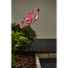 Kép 2/2 - Flamingo kerti szolár lámpa