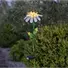 Kép 2/2 - Daisy kerti szolár lámpa