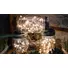 Kép 1/3 - MasterLED Napelemes LED füzér mini befőttesüvegben