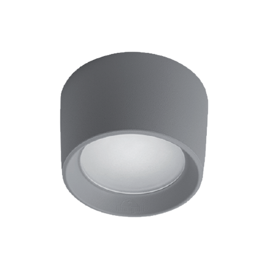 Image of LIVIA 160 LED kültéri mennyezeti lámpa 10W szürke