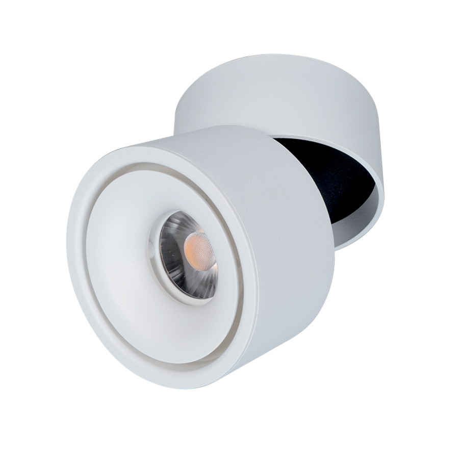 Image of LED fényvető, billenthető 10W fehér 6400K