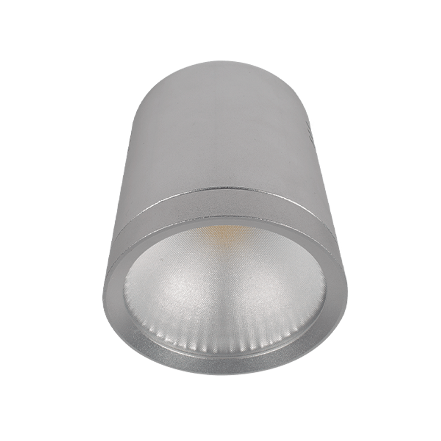Image of LEDES MÉLYSUGÁRZÓ RDLCOB 10W 230W 2700K 60° EZÜST