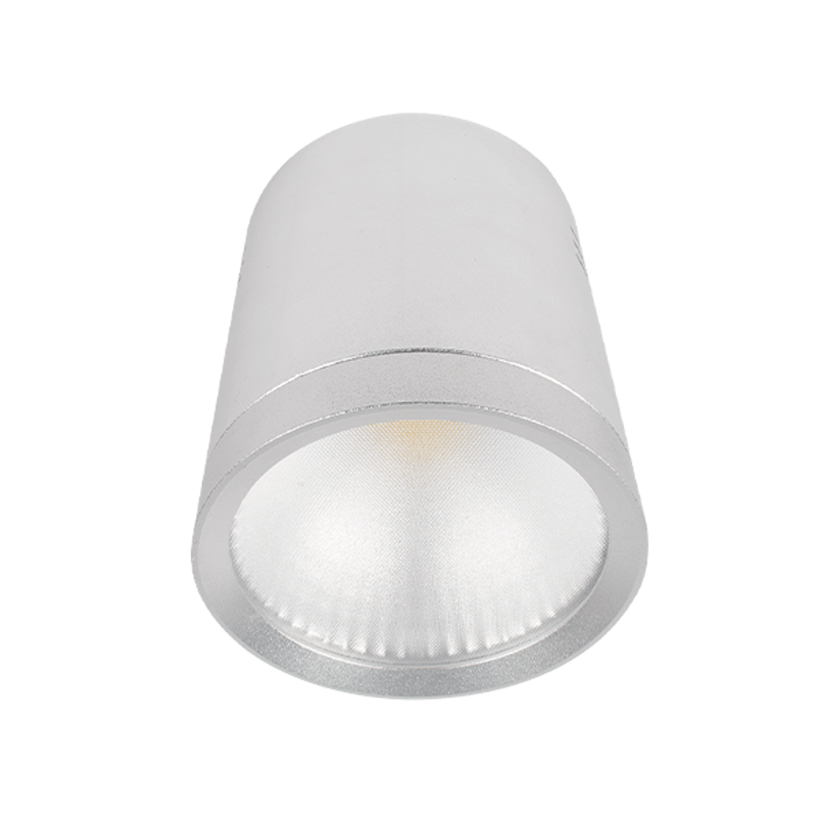 Image of LEDES MÉLYSUGÁRZÓ RDLCOB 20W 230V 4000K 60° FEHÉR