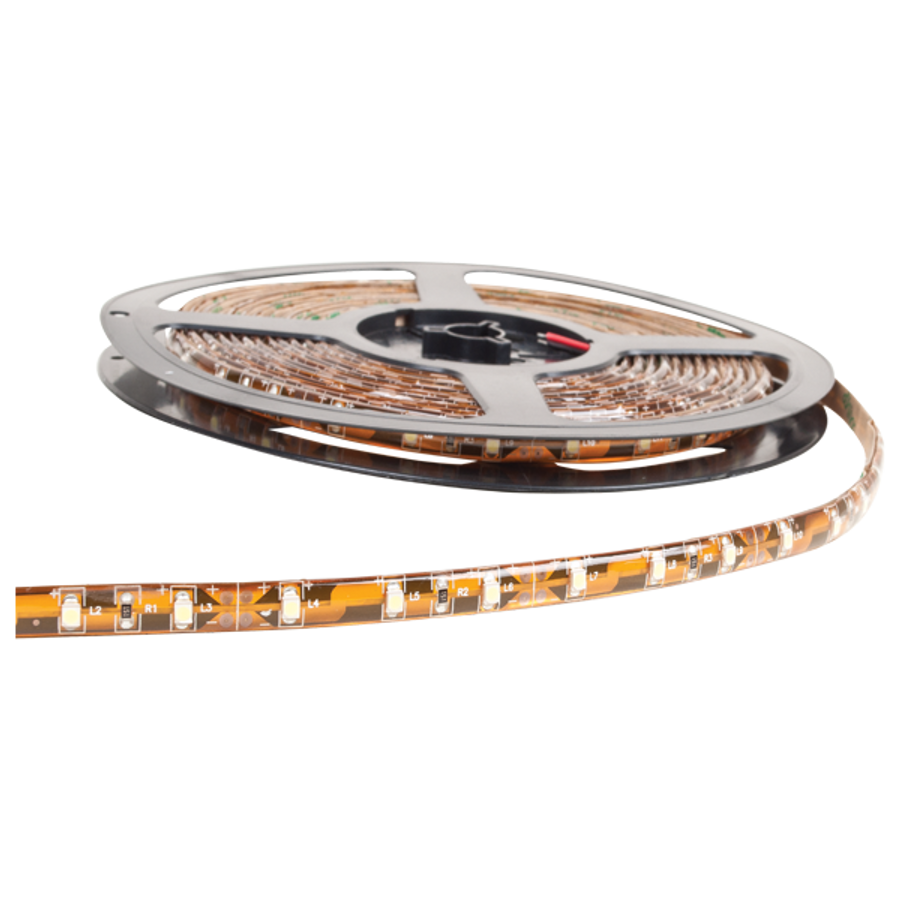Image of LED300-5050(12/DC,IP65)-BLUE/5m