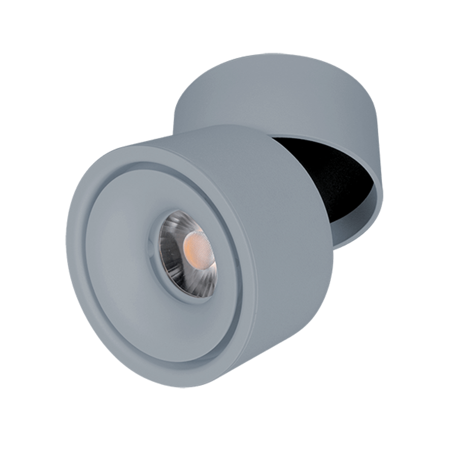 Image of LED fényvető, billenthető 10W szürke 6400K